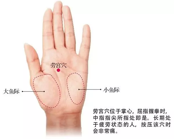 中醫手診詳解,從手上看身體,大小毛病看的清楚!