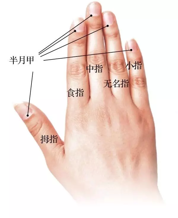 中醫手診詳解,從手上看身體,大小毛病看的清楚!