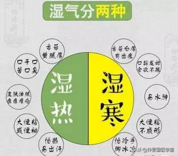 濕氣搞不懂?越祛越濕!分清濕氣、對症祛濕,不走彎路!