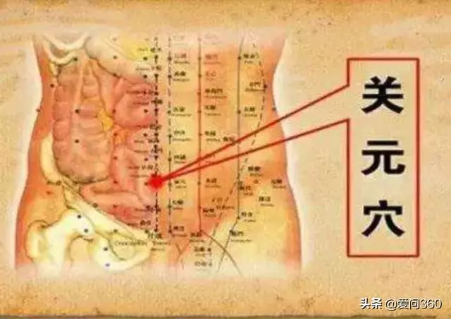 這3個穴位排毒又健身,適合冬天按,能祛濕補氣!