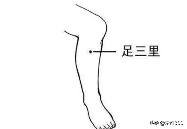 這3個穴位排毒又健身,適合冬天按,能祛濕補氣!