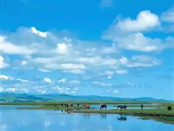 媲美318,比肩新藏線,從青海美到雲南,這條國道被嚴重低估!