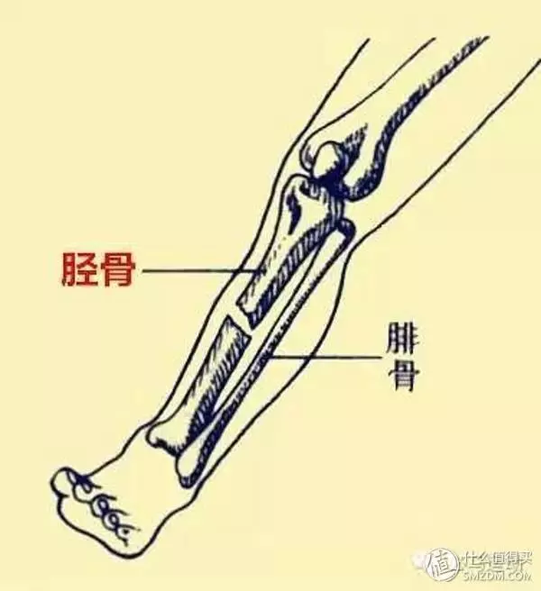 掌握這些秘訣,你可以健康跑步一輩子