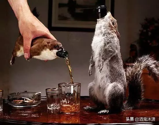 世界最貴10大頂級啤酒!喝過其中一種的可以跟我做朋友嗎?