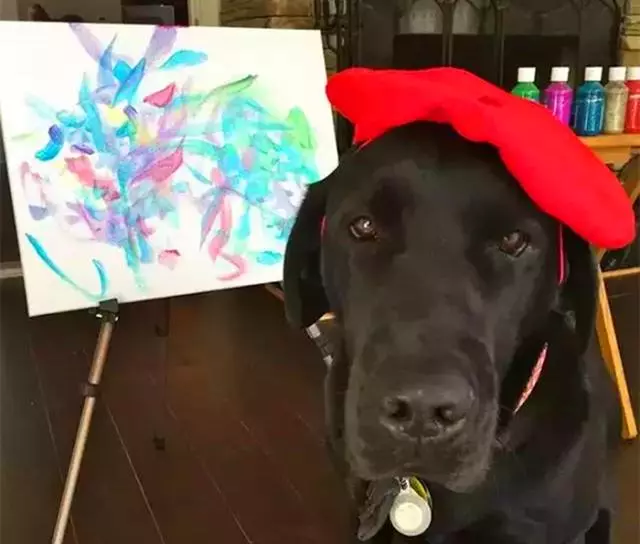 柴犬擁有傑出藝術天賦,主人試著教導愛犬學繪畫,如今一畫千元