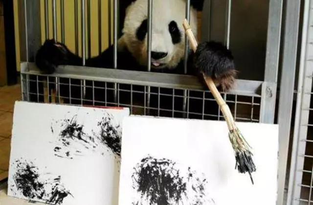 柴犬擁有傑出藝術天賦,主人試著教導愛犬學繪畫,如今一畫千元