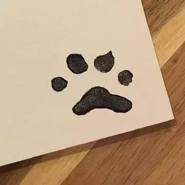 柴犬擁有傑出藝術天賦,主人試著教導愛犬學繪畫,如今一畫千元