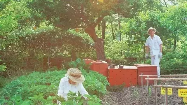 「離婚考卷」紅了!分數太高的夫妻不準離婚!你能做對幾道?