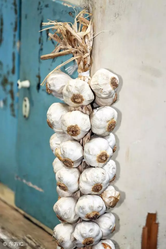 保存大蒜原來這麼簡單,放上一年都不會發芽,可惜很多人都不知道