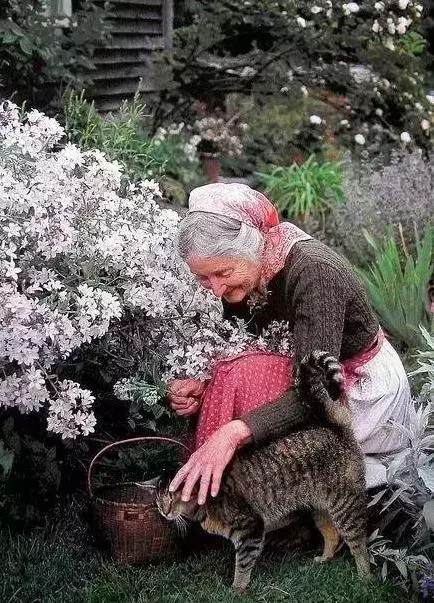 給子女留財產,就是在給他們『添麻煩』。50歲以後,請學會富養自己