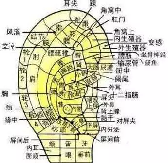 每天晚上摸摸「這個地方」,男人越摸越長壽,女人越摸越年輕!