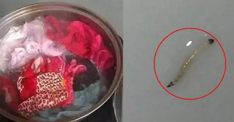 女子洗內衣洗出一條白蟲,她將衣服煮後,醫生一席話讓她面無血色