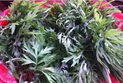 用這兩味葯泡腳,膝蓋不痛了、關節不酸了、 腳幹腳裂全趕跑!便宜見效快,趕緊試一試~