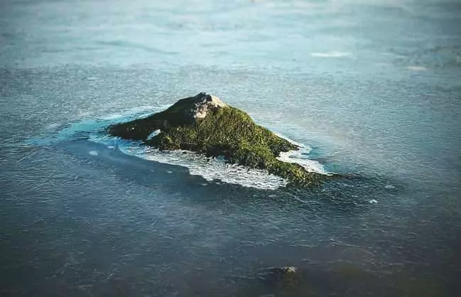嚇我一跳! 20個「沒特別注意,絕對會看錯」的物品