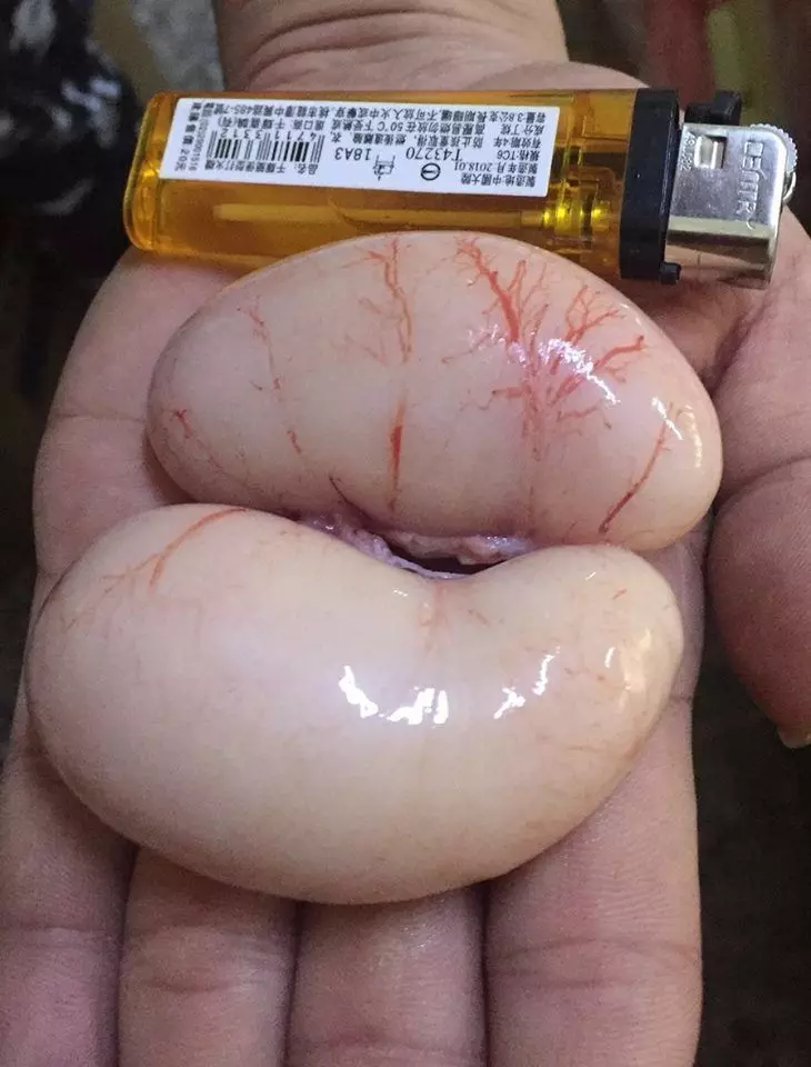這餐很超值!好友請吃飯...咬開肉包驚見「5大包子孫袋」網全看傻:吃完見佛祖