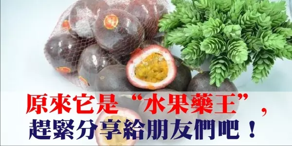 原來它是「水果藥王」, 趕緊分享給朋友們吧!