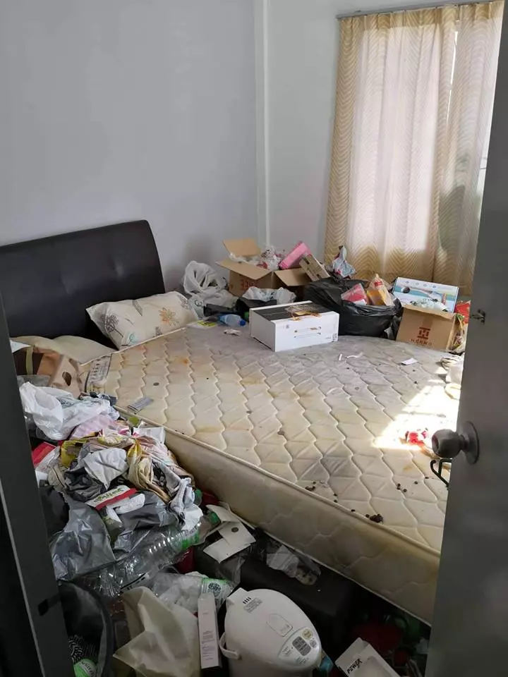 史上最骯髒的Housemate! 大馬網民發現家裡蟑螂越來越多, 好奇打開女室友房門竟發現恐怖一幕