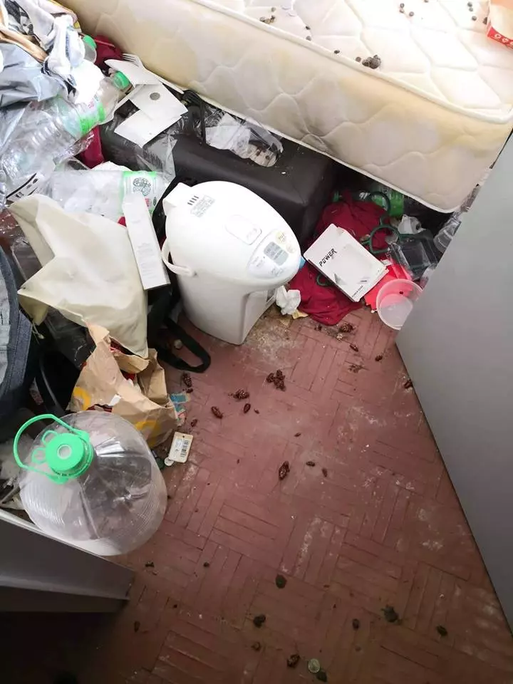 史上最骯髒的Housemate! 大馬網民發現家裡蟑螂越來越多, 好奇打開女室友房門竟發現恐怖一幕