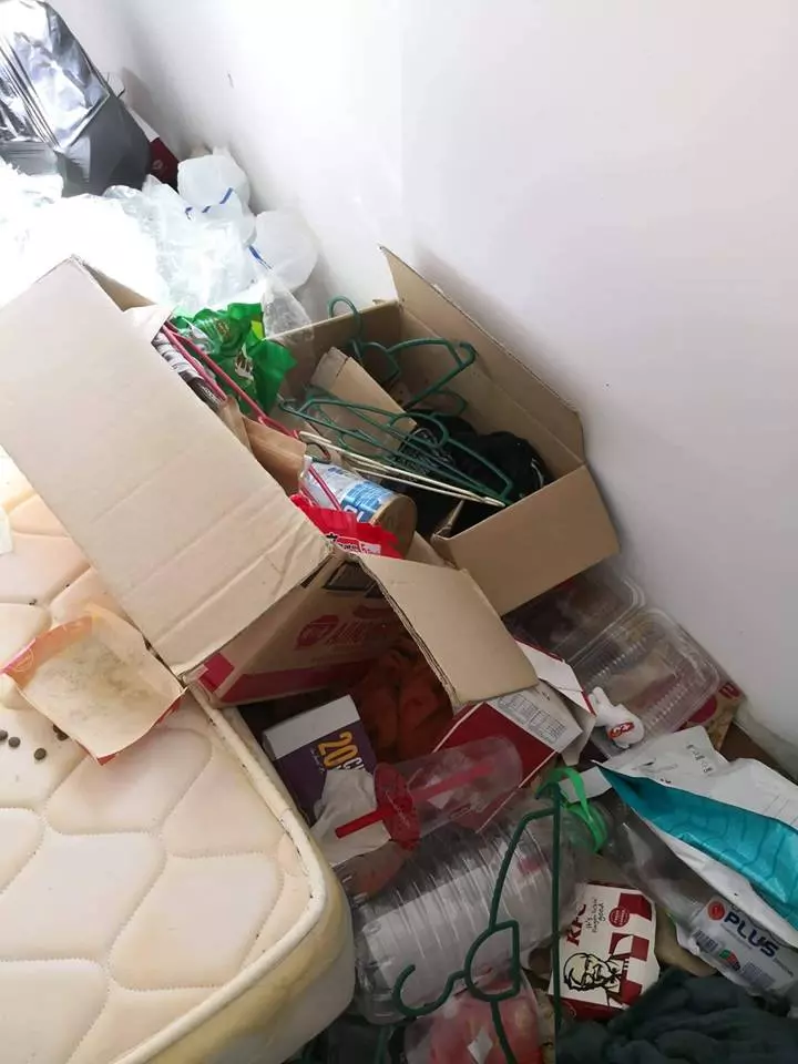史上最骯髒的Housemate! 大馬網民發現家裡蟑螂越來越多, 好奇打開女室友房門竟發現恐怖一幕