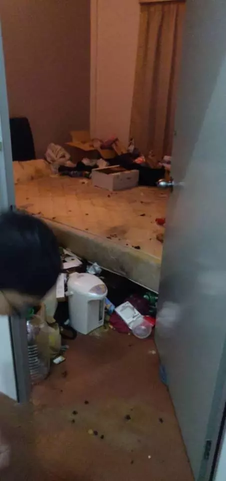 史上最骯髒的Housemate! 大馬網民發現家裡蟑螂越來越多, 好奇打開女室友房門竟發現恐怖一幕