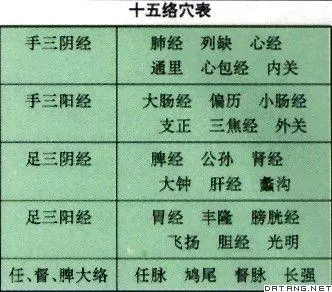 「十五絡穴」有兩個版本,有何不同?你衷情於哪個!