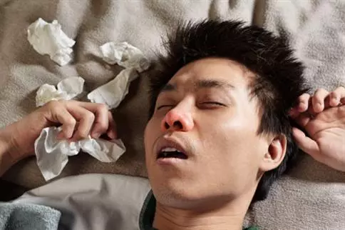洋蔥這樣吃,補骨髓竟比鈣快10倍!更可預防膽固醇 、胃癌 、糖尿病!
