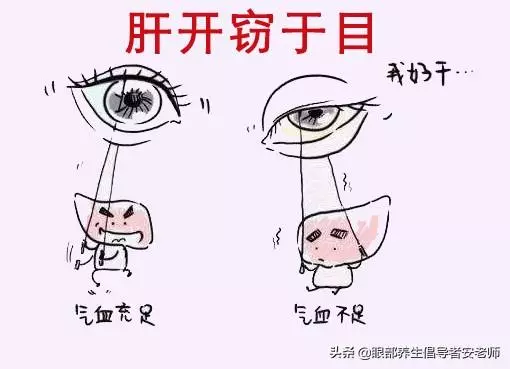 肝開竊於目,所以保護眼睛從保護肝臟開始