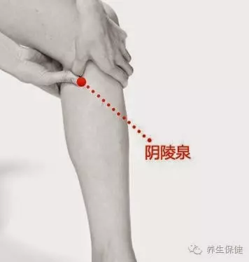 人體最大的排毒口就在「這裡」!拍一拍毒素全部清除,越來越健康,還能長壽20年!每天拍十分鐘,還可以降壓減脂!