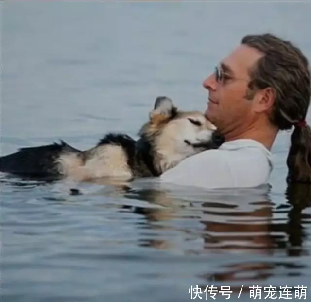 為了讓狗睡覺,主人每天抱著狗泡在湖水裡,這張照片讓無數人落淚