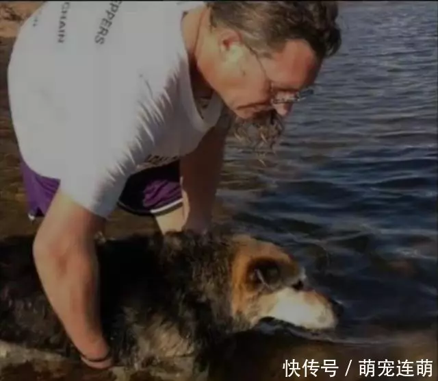 為了讓狗睡覺,主人每天抱著狗泡在湖水裡,這張照片讓無數人落淚