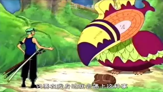 海賊王:索隆是否屬於高智商的人?這四個沙雕行為告訴你真相!