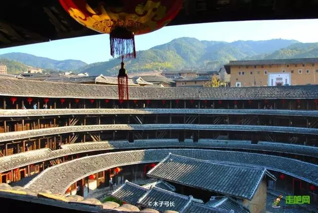 國內私藏最大櫻花園,比日本櫻花大,比阿里山美!到3月都看不完