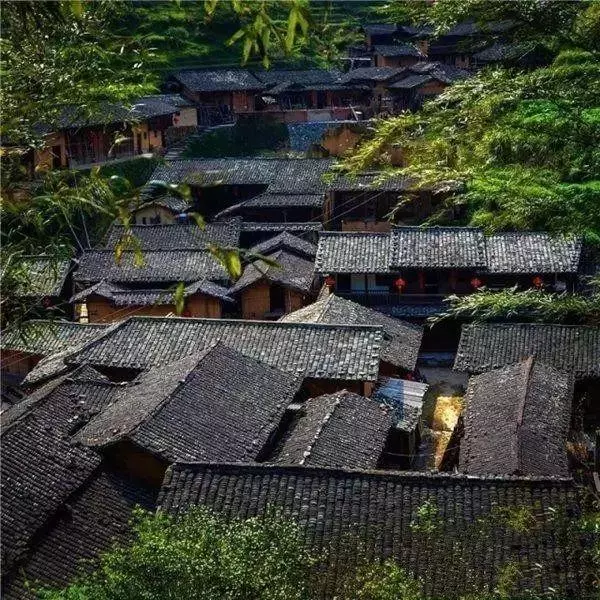 國內私藏最大櫻花園,比日本櫻花大,比阿里山美!到3月都看不完