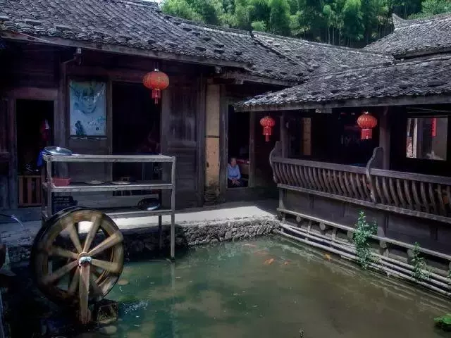 國內私藏最大櫻花園,比日本櫻花大,比阿里山美!到3月都看不完