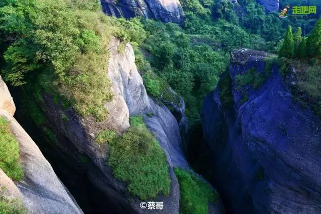 國內私藏最大櫻花園,比日本櫻花大,比阿里山美!到3月都看不完