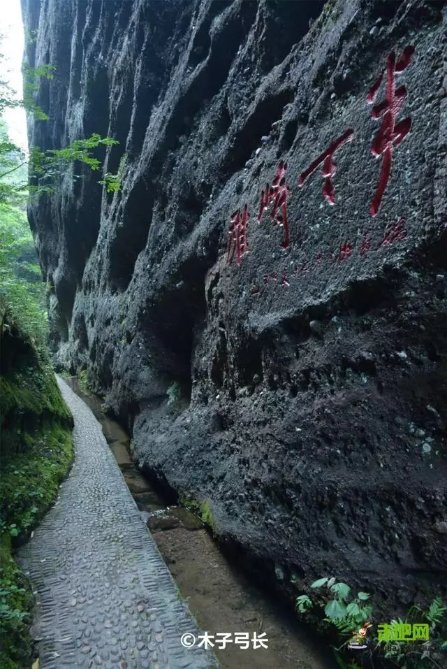 國內私藏最大櫻花園,比日本櫻花大,比阿里山美!到3月都看不完
