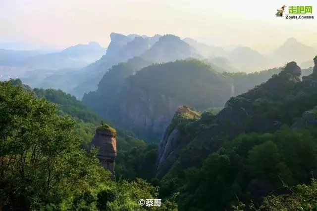 國內私藏最大櫻花園,比日本櫻花大,比阿里山美!到3月都看不完