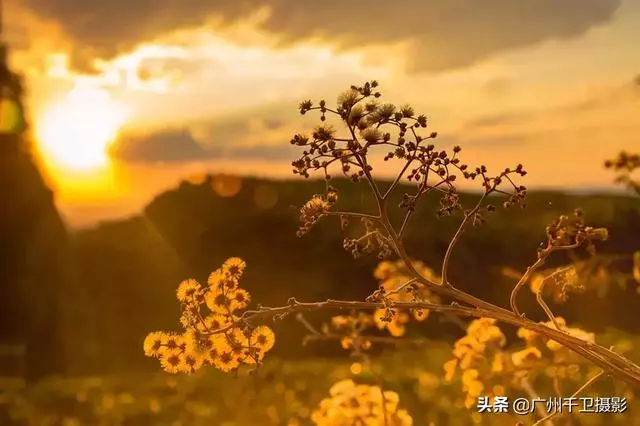 頂級攝影高手,讓色彩表現世界——5個訣竅