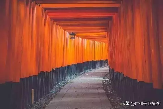頂級攝影高手,讓色彩表現世界——5個訣竅