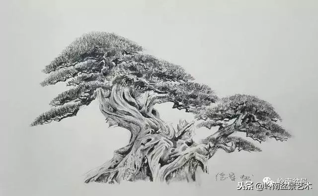 工匠精神與盆景藝術!!