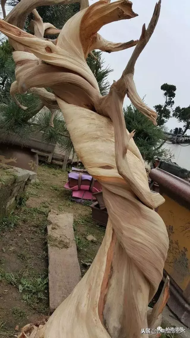 工匠精神與盆景藝術!!