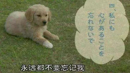 如果孩子處在3-12歲,請給他看看這4部電影,意義重大