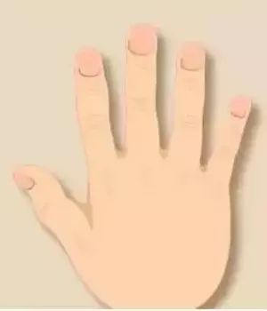 手形決定一個人的性格、財運、命運,不信看看,真准 !