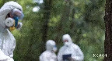 12件狗狗最討厭你做的事