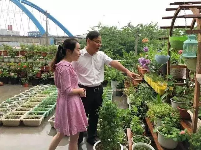 姑娘在家建「花園」,多肉月季排排放,引來鎮長參觀!