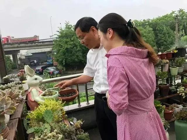 姑娘在家建「花園」,多肉月季排排放,引來鎮長參觀!