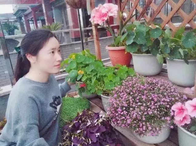 姑娘在家建「花園」,多肉月季排排放,引來鎮長參觀!
