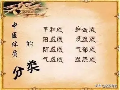 中醫9種體質養生指南