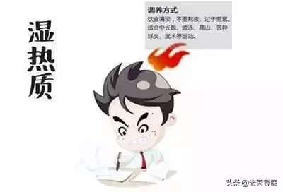 中醫9種體質養生指南