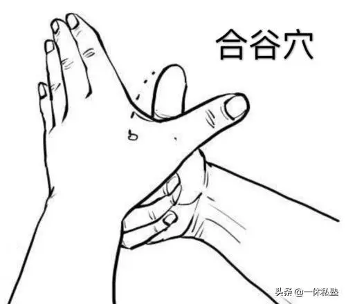 按壓五穴排五臟之毒,值得收藏